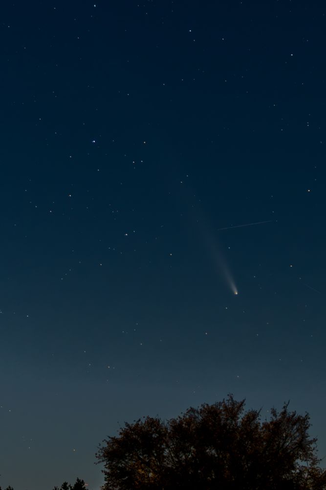 Comet C/2023 A3 (Tsuchinshan–ATLAS) appears to hang above a tree in southern New Hampshire