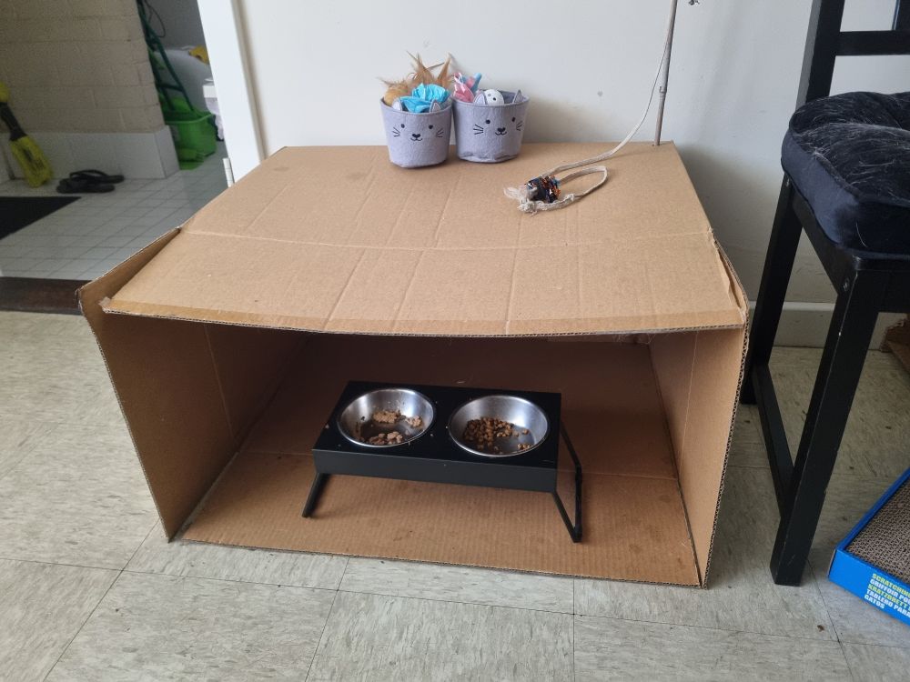 A photo of a tall cardboard box on its side with 2 cat faced felt buckets of cat toys on top. Inside there is a black bowl stand with 2 stainless steel cat bowls, one with wet food and one with dry food. 