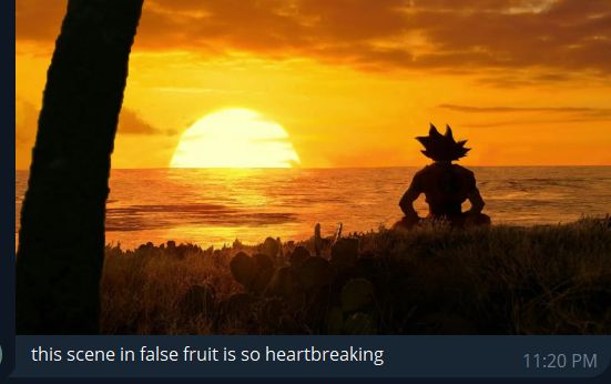 A message that says "this scene in false fruit is so heartbreaking"
The picture is of Goku sitting in front of a sunset