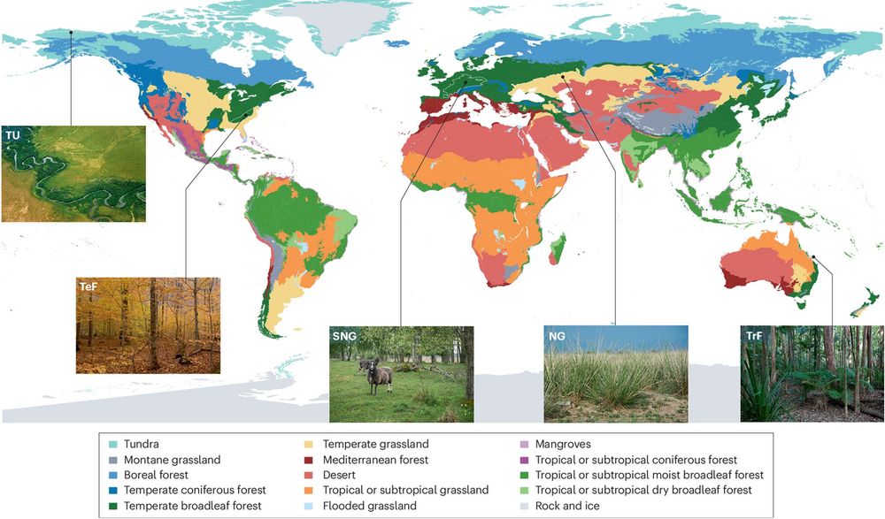 Map showing mycorrhizal profiles of selected ecoregions