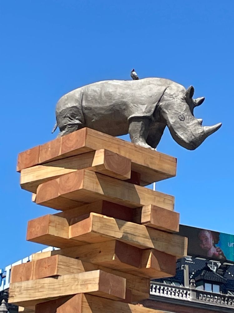 Your standard issue Copenhagen pigeon sitting on the back of a rhino sculpture. The rhino itself on top of a giant Jenga tower. 