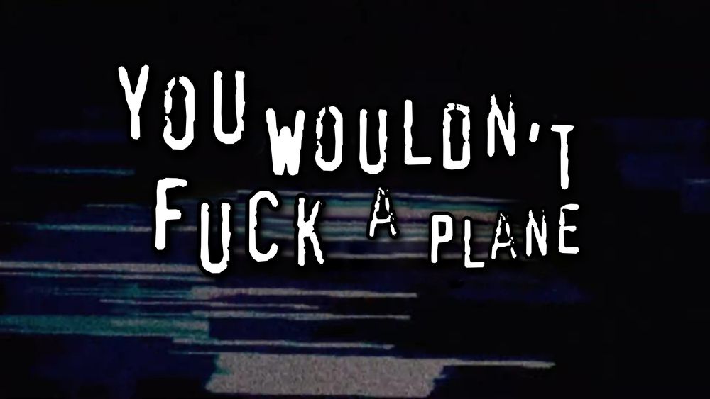 The "you wouldn't steal a car" PSA meme but replaced with "you wouldn't fuck a plane".