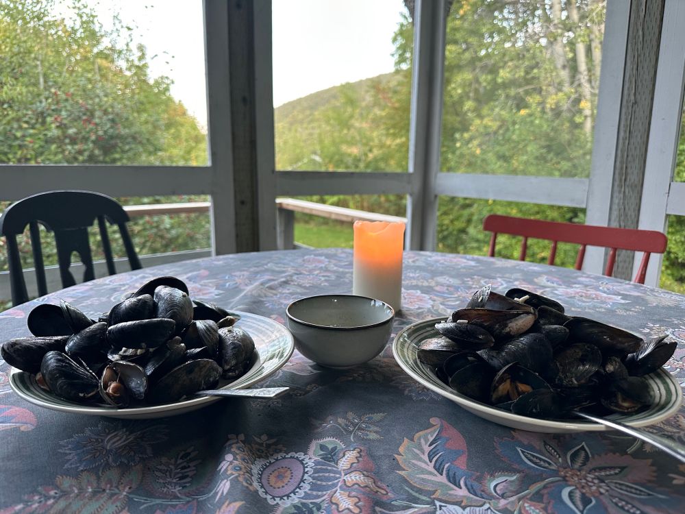 A cozy photo. Two plates of muscles (steamed in very garlicky, lemony water) on a table inside a screened in porch, a mountain and trees are in the background 