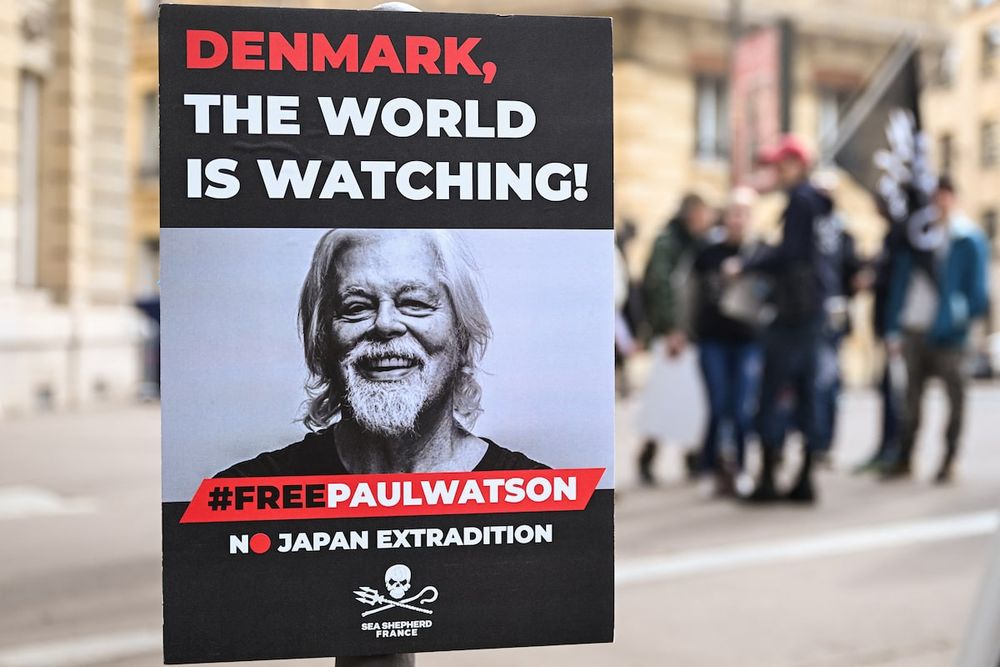 Who’s afraid of Paul Watson, award-winning conservationist?