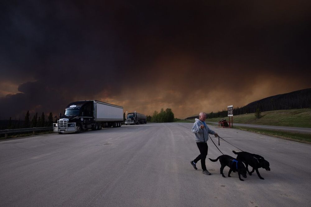 Wildfire evacuees from remote north faced with hard decisions about their pets