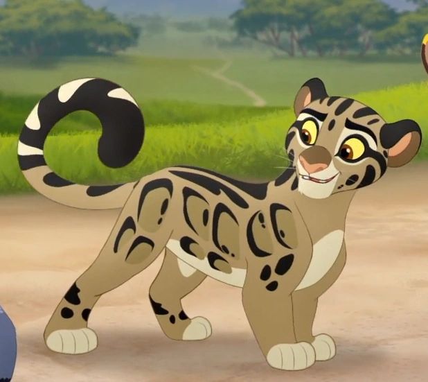 Yun Mibu - Clouded Leopard