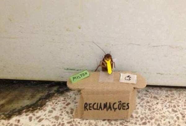 barata vestindo gravata amarela atrás de um balcão de reclamações. há uma placa com o nome Milton e outro pedaço de papel imitando um macbook.