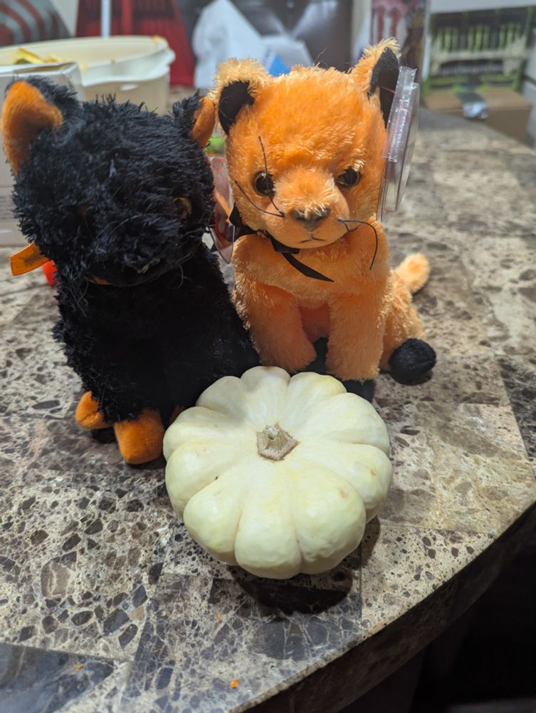 Beanie babies "scared-e" and "fraid-e" sitting beside a tiny white pumpkin. They are a black cat with orange paws and an orange cat with black paws. They sit atop a granite table.