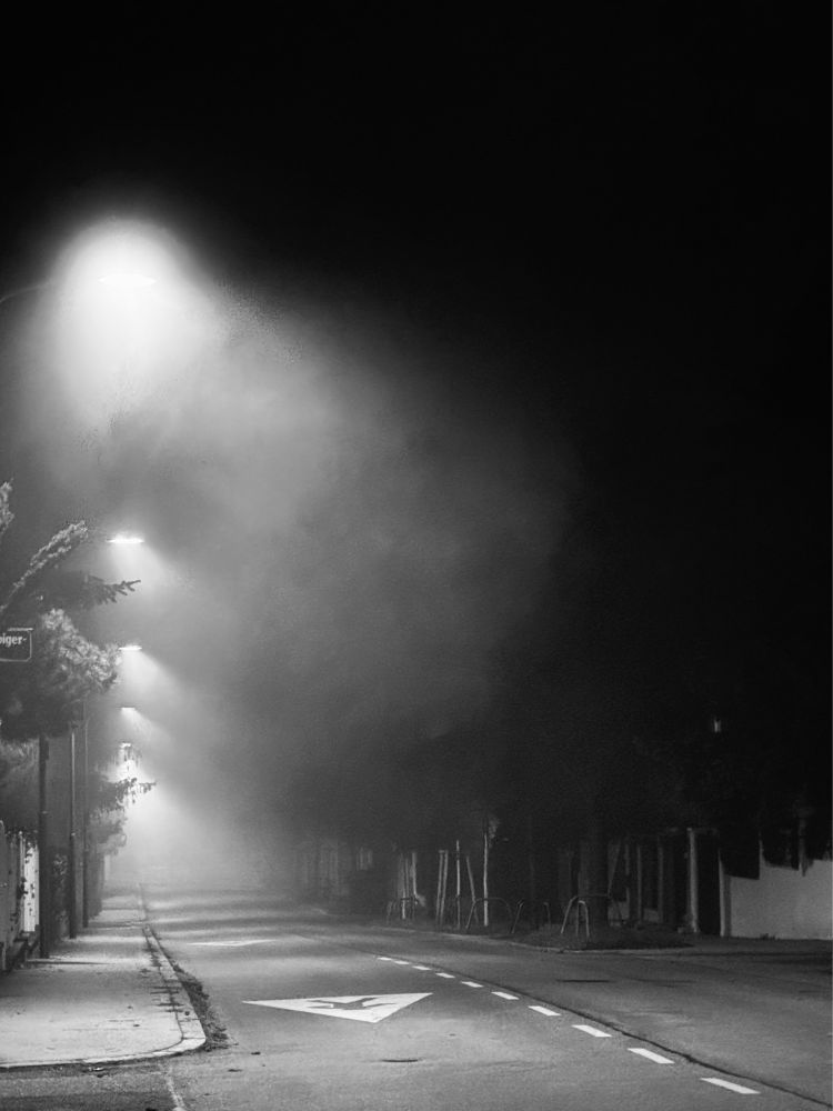 Das Foto zeigt eine verlassene, dunkle Straße bei Nacht. Links im Bild stehen mehrere Straßenlaternen in gleichmäßigem Abstand entlang des Gehwegs. Jede Laterne taucht die Umgebung in einen hellen Lichtschein, der durch den Nebel stark gedämpft wird und wie ein trüber Schimmer erscheint. Das Licht verliert sich im Nebel, wodurch die Umgebung mysteriös und unheimlich wirkt.

Auf der rechten Seite erkennt man Bäume und Büsche, die in die Dunkelheit verschwimmen, sowie eine gestrichelte weiße Linie, die die Straßenmitte markiert. Ein verwittertes Schild und Verkehrshinweise auf der Straße deuten auf eine verlassene Wohngegend hin. Die Szene strahlt eine düstere, fast unheimliche Atmosphäre aus, unterstützt durch die schwarz-weiße Darstellung und den dichten Nebel.