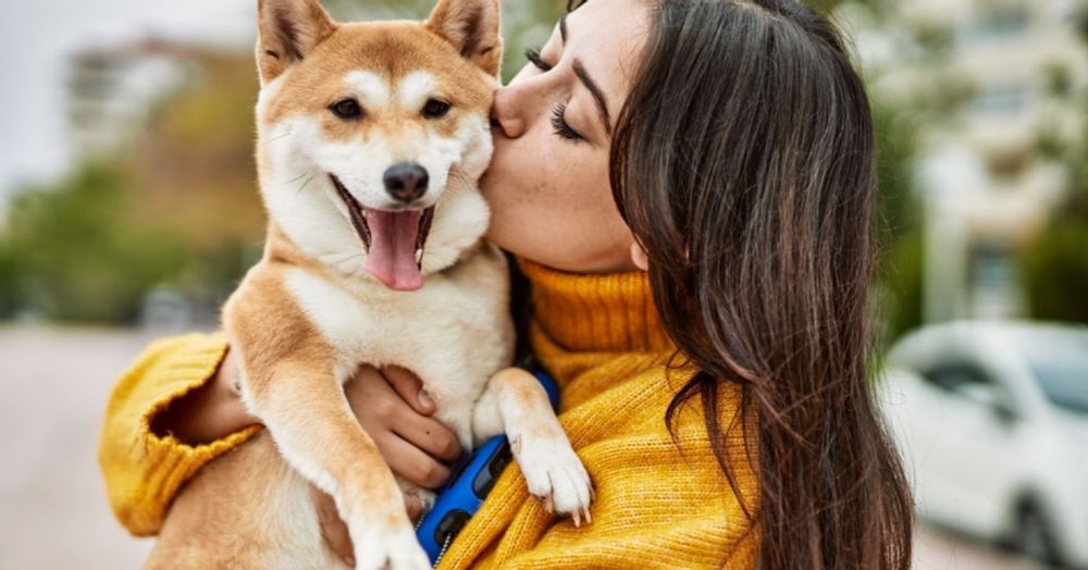 Inside the Human-Dog Love Affair