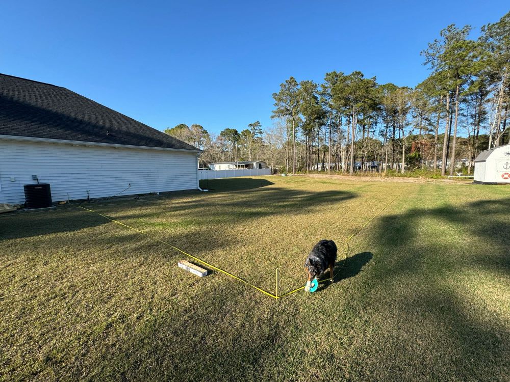 Yard for the animals,  my lot goes alllll the way back to the houses behind the trees,  from the corner marker all the way back is almost 300ft!