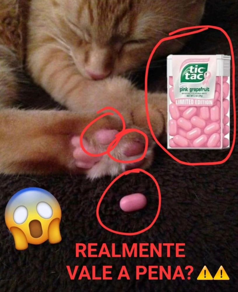 Comment image