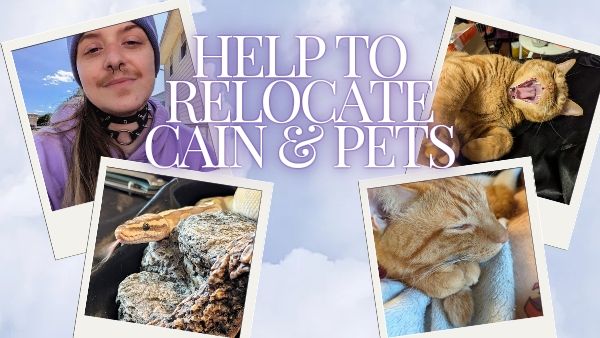 Donate to !!!HELP RELOCATE CAIN & PETS!!!, organized by Mike McGill