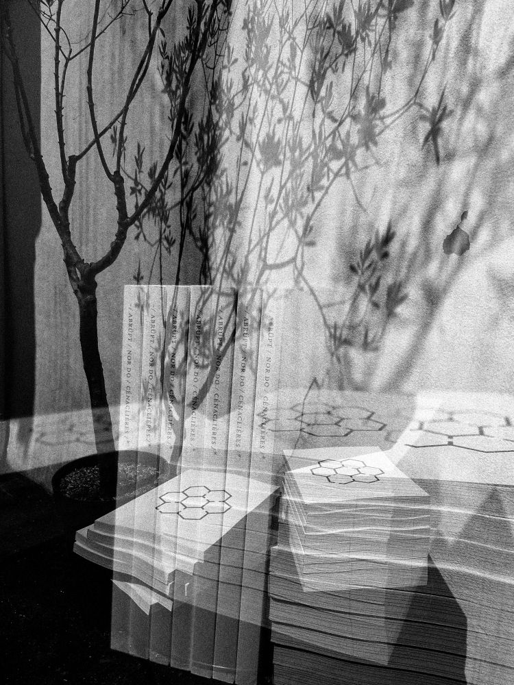 
Montage noir et blanc de plusieurs photographies de la couverture de l'ouvrage Cénaclières qui fait voir un labyrinthe à la forme alvéolaire.
