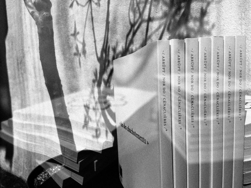 
Montage noir et blanc de plusieurs photographies de la couverture de l'ouvrage Cénaclières qui fait voir un labyrinthe à la forme alvéolaire.