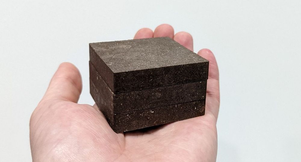 Potatoes are better than human blood for making space concrete bricks, scientists say