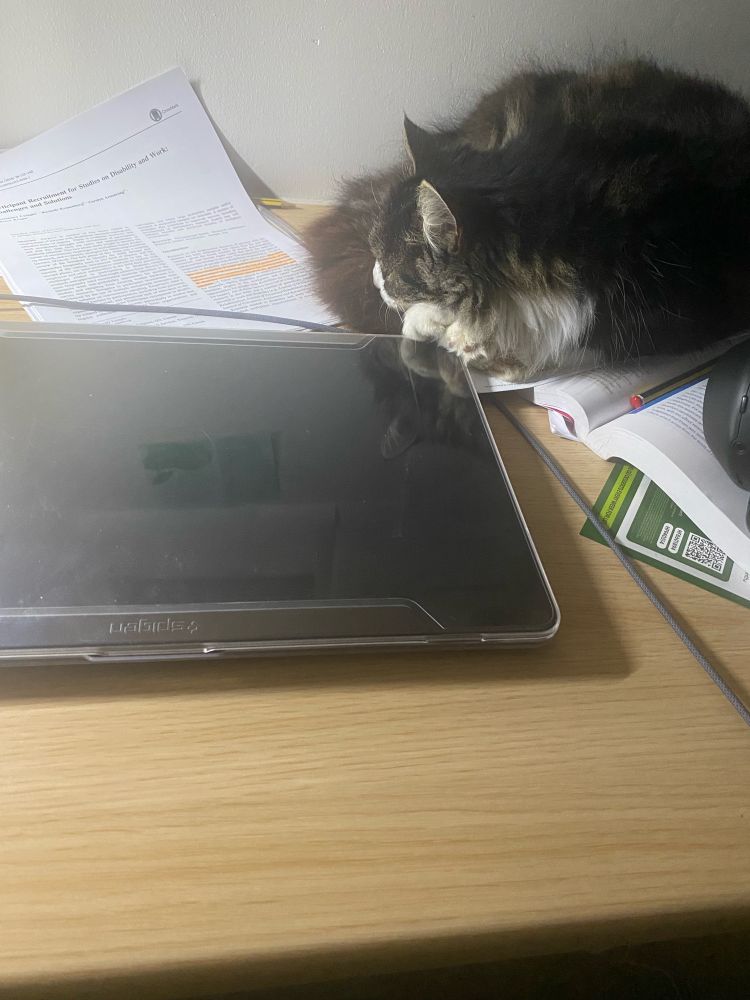 Picture shows my cat curling up against the laptop. Her paws resting on this in a closed position as if to stop me opening the laptop up