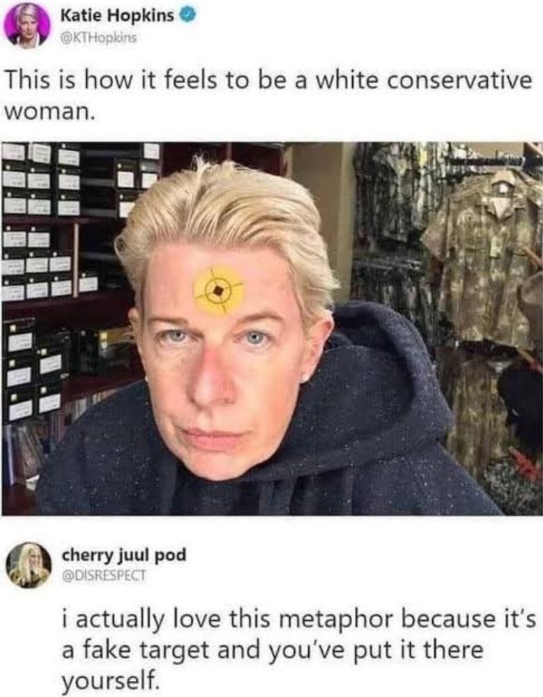 A picture of a sour looking KT Hopkins with a target on her forehead with the caption ‘this is what it feels to be a white conservative women’