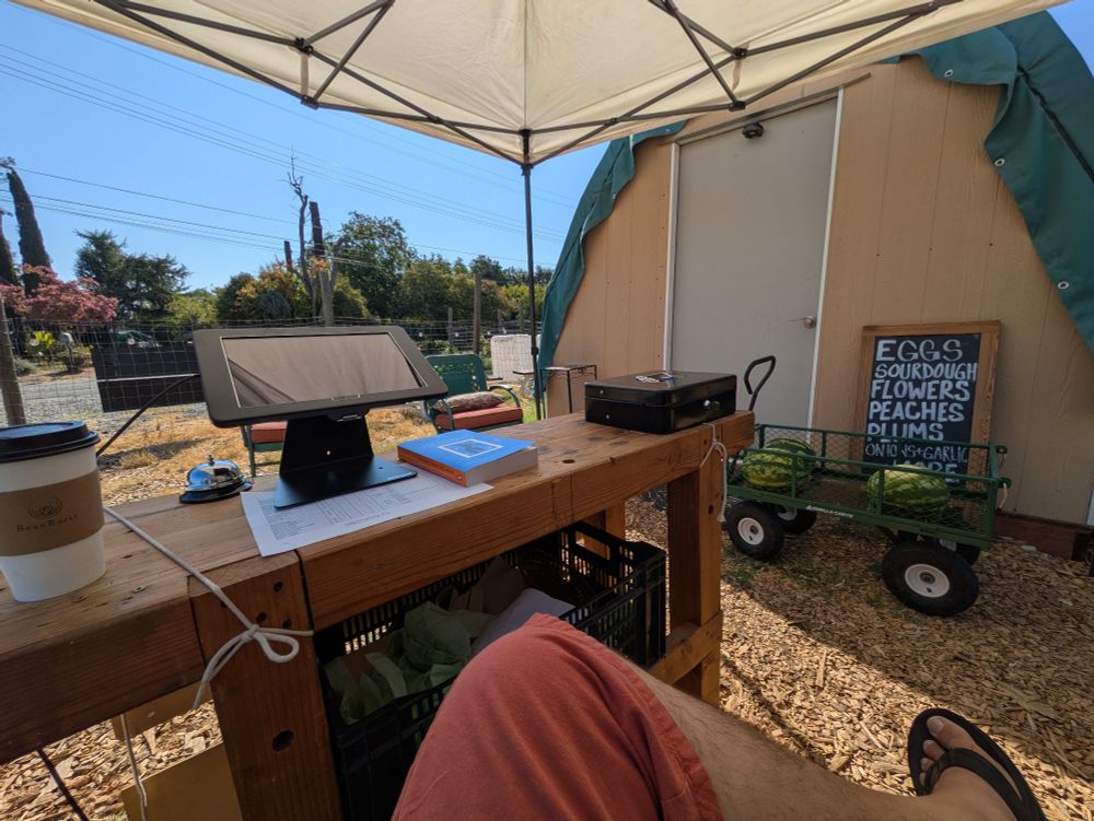 A picture of the front side of a small half-dome building made of wood paneling and a canvas roof, with a plain door. It's a farmstand somewhere in Northern California.

A hand-lettered sign leans against it to the right of the door listing some of the wares for sale, in front of which is a wagon holding 3 watermelons.

A pop-up is set up in front of the building, providing shade for a makeshift wooden counter on which there is, from left to right, a coffee, a bell for service, an iPad, a copy of The Body Keeps The Score, and a cash box.

In the lower foreground is the bottom half of my left leg, crossed over my right knee. I'm wearing loose rust-coloured shorts that end below my knee, and black flipflops.

In the background are some trees, including a flowering crepe myrtle, and a patch of blue sky.

It's all rather idyllic.