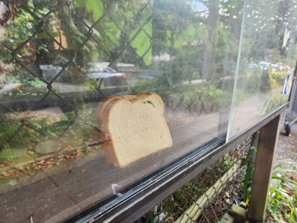 Close up on the bread. Maybe it's a sandwich.