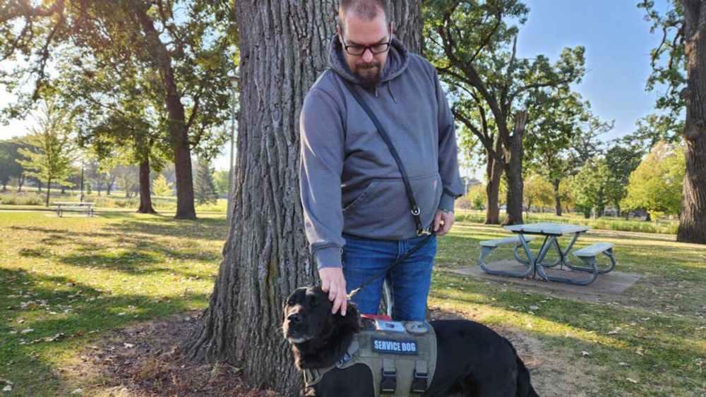 Service dogs are helping veterans with PTSD. A new bill would help expand access