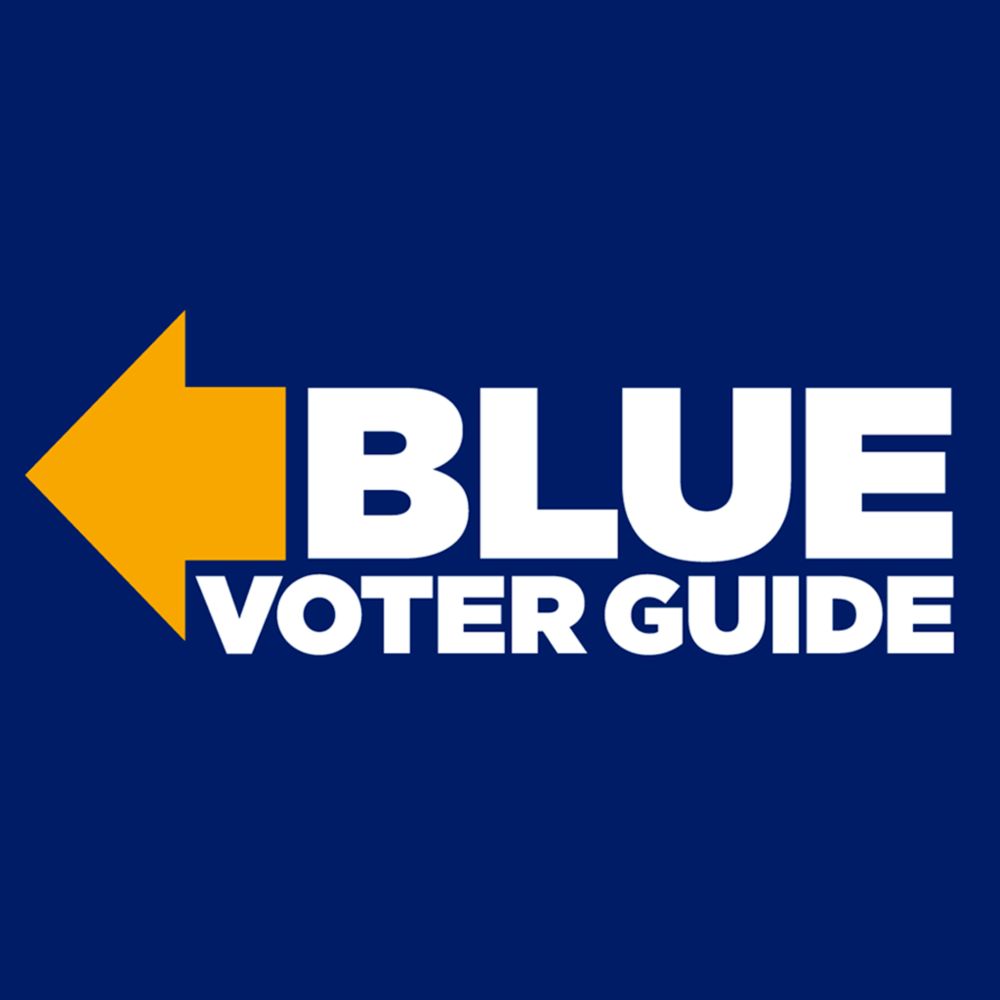 Michigan Democratic Voting Guide with Endorsements for Voters