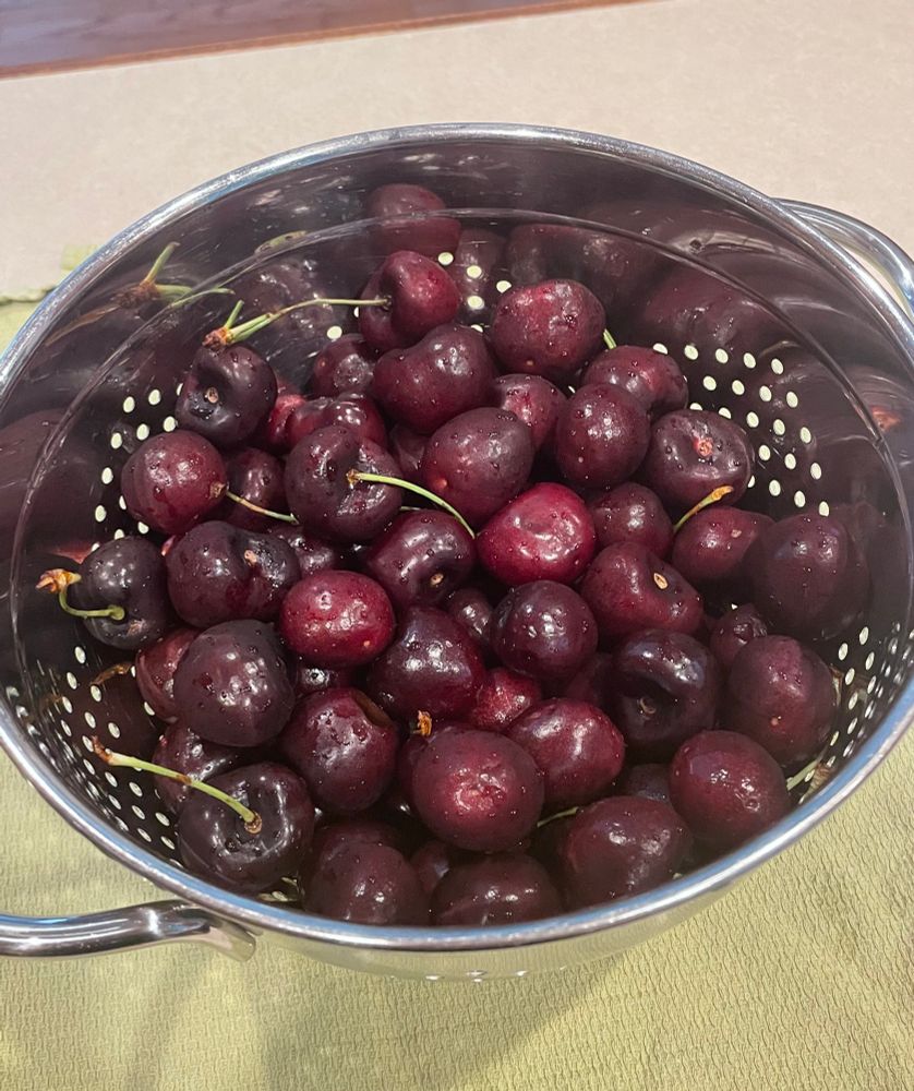 A metal colander full of freshly washed cherries, resting on a green kitchen towel.