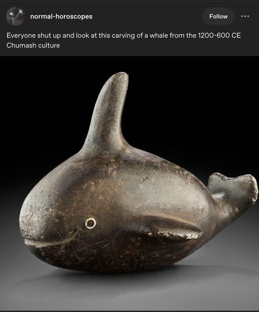Tumblr normal-horoscopes
Everyone shut up and look at this carving of a whale from the 1200-600 CE
Chumash culture

The whale looks delightfully round and seems to be smiling.