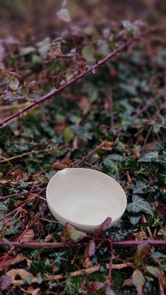Cueillette d'eau de pluie en vue d'une aquarelle au sang, mêlée à de la sève de ronce et de lierre. Mélanger les matières, le soi et le monde. Interroger notre lien au monde sauvage.

#contemporaryart #matières #art #nature