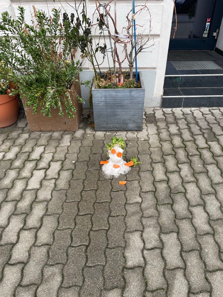 Ein ca 20cm hoher Schneemann auf trockenem Gehsteig mit einem grünen Zweig als Haare, Karottenaugen und Karottenhänden, dahinter zwei Blumentöpfe zum Größenvergleich. 