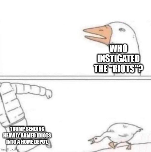 Goose Chase Meme. Top cell, goose skeptical of 'who instigated the 