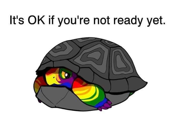 A rainbow tortoise hides inside a grey shell. The words "It's OK if you're not ready yet" are printed above.