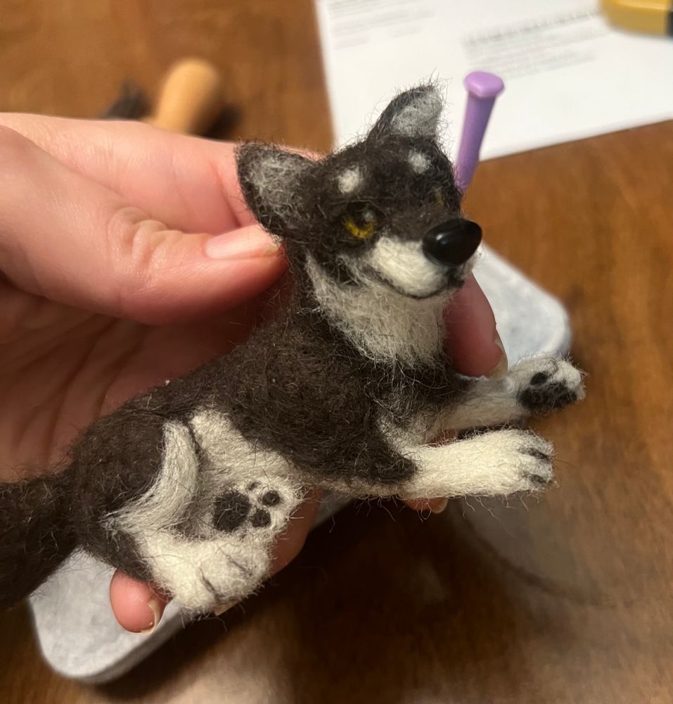 A felted figure of a black and white malamute dog in a reclining position. The dog has an approachable expression and visible paw pads. 