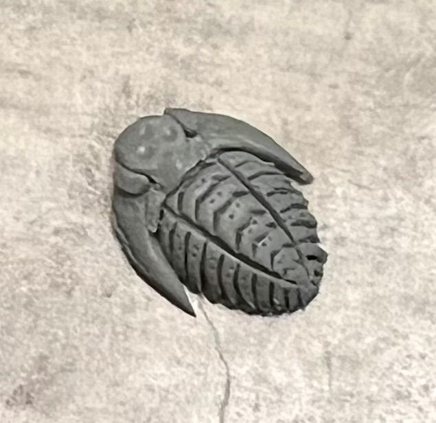 A tiny polymer clay trilobite, gray and only barely defined by the relief carvings of detail on the back lobes. 