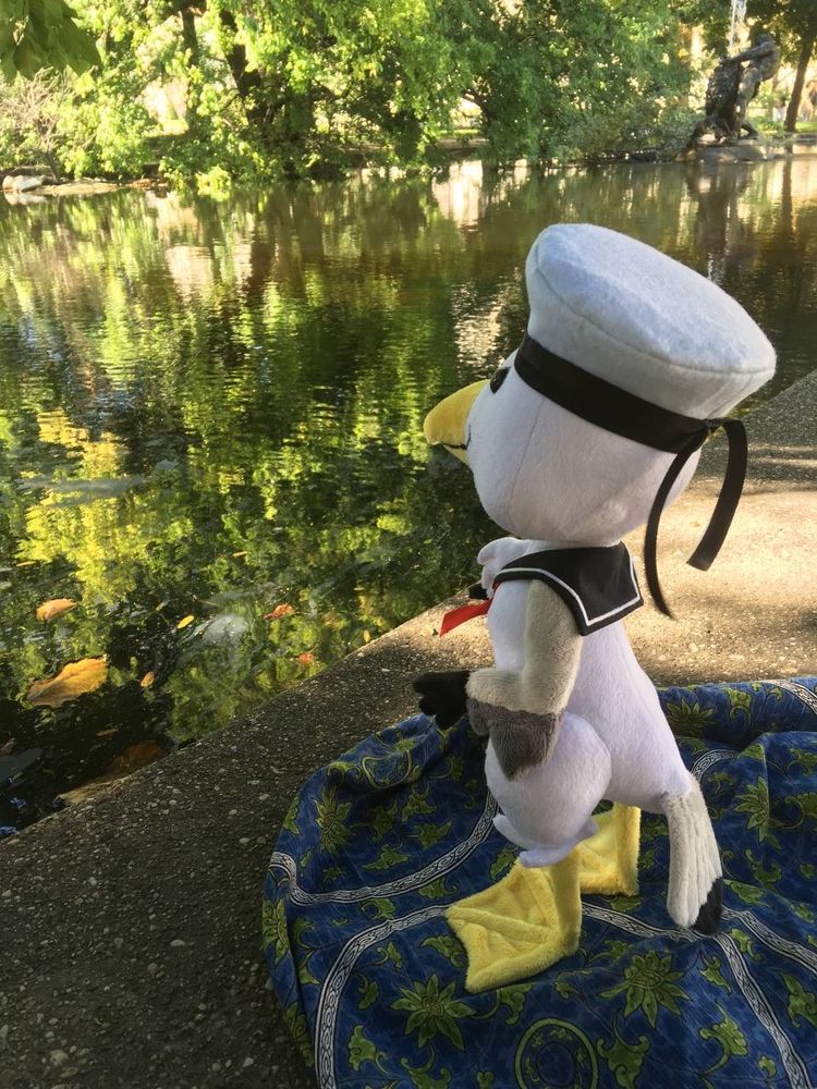 A seagull plushie in a sailor outfit overlooking a pond