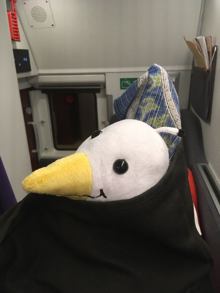 The head of a plush seagull poking out the top of a backpack