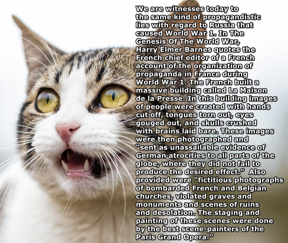 Comment image