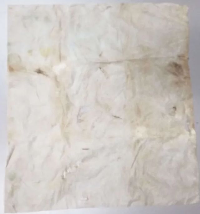 paper towel covered with gunk from a PC big box game.
