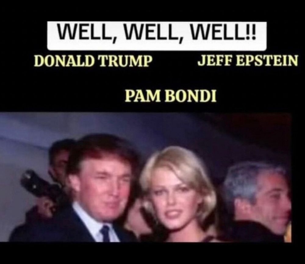 WELL, WELL, WELL!!
DONALD TRUMP
JEFF EPSTEIN
PAM BONDI