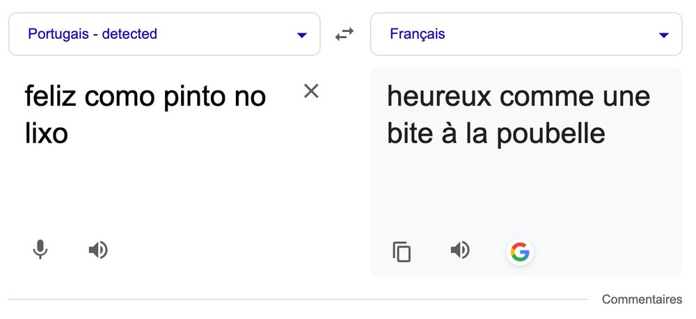 Capture d'écran de Google Translate traduisant "feliz como pinto no lixo" par "heureux comme une bite à la poubelle".