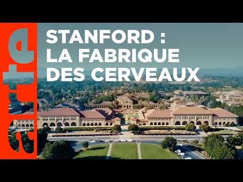 Silicon F***ing Valley (1/6) | La fabrique des cerveaux | ARTE