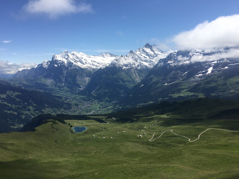 The view from Männlichen, looking down to Grindelwald. Snow-capped mountains from centre to right (cloud also on the far right and left) with a lush green (grass and trees) wide valley in the middle dotted with chalets. 