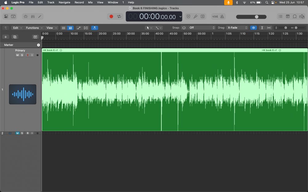 Screenshot of a recording software interface, showing a 1h 30m soundwave (which, at this resolution, looks like a long horizontal bar of very tightly packed vertical lines – like thousands of very skinny people standing in a long tine –  pale green against a dark green background). In half a dozen places, the lines spike sharply up and down (like super tall people with long legs sticking out at the bottom too), showing where a sudden loud noise has occurred.