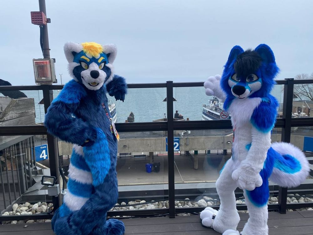 Blue husky and blue (red) panda on a balcony overlooking the ferry terminal.