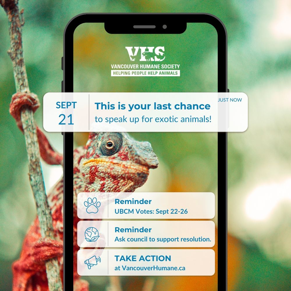 A phone with notifications that are reminding you this is your last chance to speak up for exotic animals for the upcoming Union of British Columbia Municipalities meeting. Ask your council to support the resolution this September 22 to 26th. Take action at VancouverHumane.ca