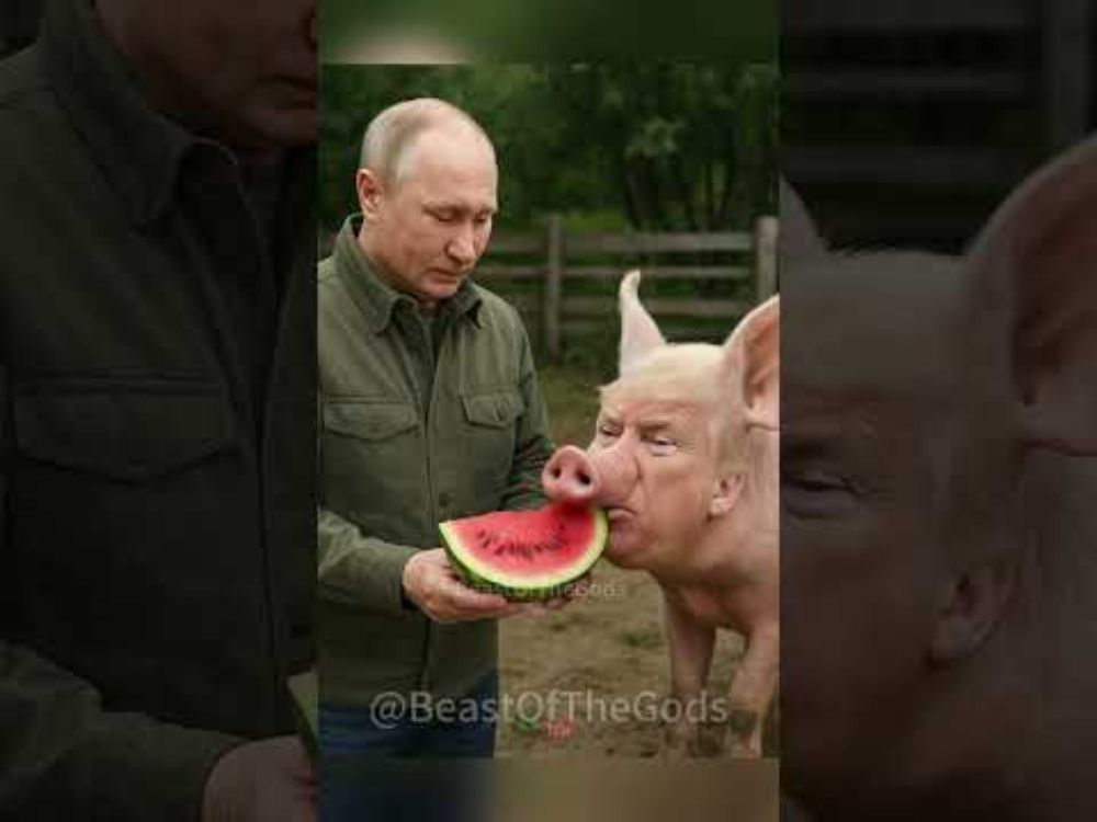 Putin’s Pig 🐷🍉
