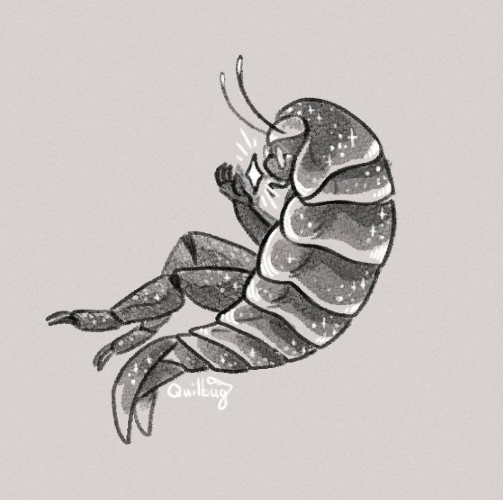 A sketch of Atlas the Isopod person floating with a star hovering above its open hands close to his face. He wears circular glasses and It's segmented carapace and limbs are speckled with stars. It looks rather longingly at the star in his hands.