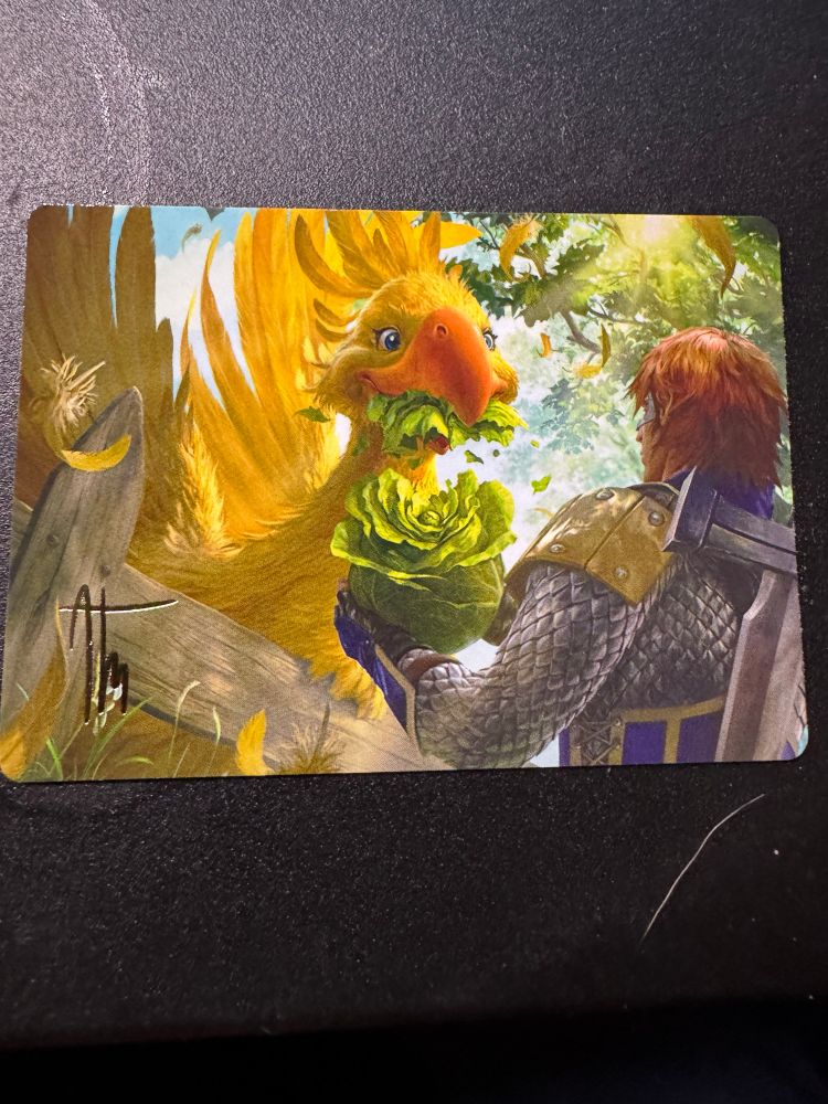 Final Fantasy Magic the Gathering art card of a CHOCOBO and Gysahl Greens. ( their food.  Looks like a head of cabbage).   It’s a super rare signed copy.    