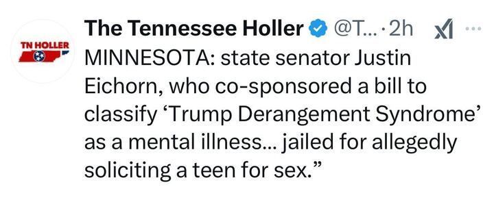 X post by The Tennessee Holler (@T
...), featuring a verification badge and the "TN Holler" logo with the Tennessee state flag, posted 2 hours ago. The post reads, "MINNESOTA: state senator Justin Eichorn, who co-sponsored a bill to classify 'Trump Derangement Syndrome' as a mental illness... jailed for allegedly soliciting a teen for sex."
