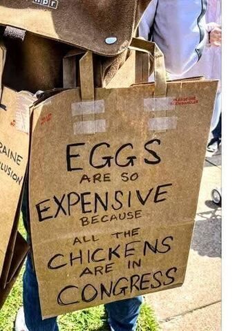 An image shows a person holding a brown paper bag with text written on it in black marker: "EGGS ARE SO EXPENSIVE BECAUSE ALL THE CHICKENS ARE IN CONGRESS." The person is standing outdoors, with other people and bags visible in the background, suggesting a protest or public gathering.
